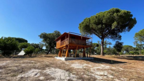 Suspended Wooden House - Monte da Cortiça